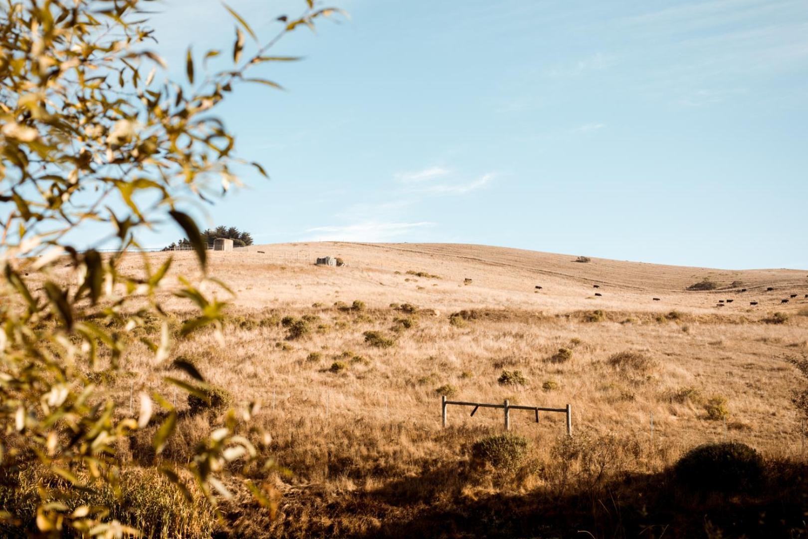 Sonoma Coast Villa Bodega Εξωτερικό φωτογραφία
